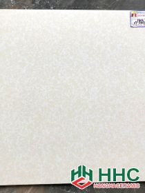 Gạch lát nền 60x60 giá rẻ vt6609